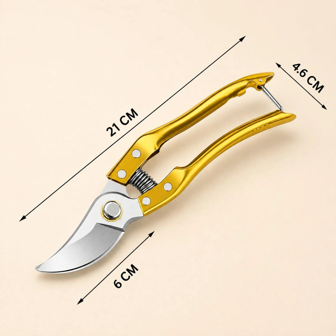 Secateurs pruning rose bush